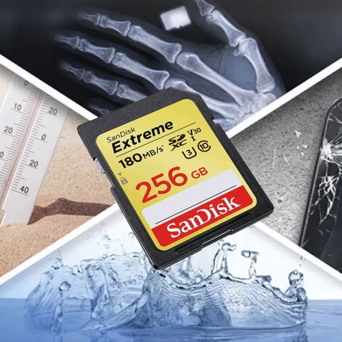 Карта памяти SanDisk Extreme (SDSDXVV-256G-GNCIN) 256GB (черный) 8