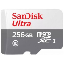 Карта памяти SanDisk MICRO SDXC UHS-I SDSQUNR-256G-GN3MN 256GB (белый/серый)