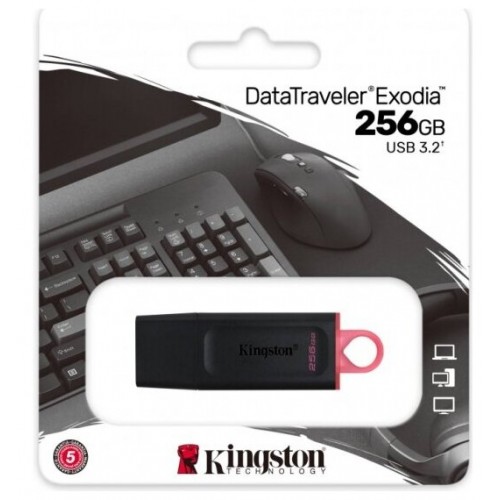 Флешка Kingston DataTraveler Exodia 256GB (черный) 