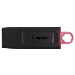 Флешка Kingston DataTraveler Exodia 256GB (черный)