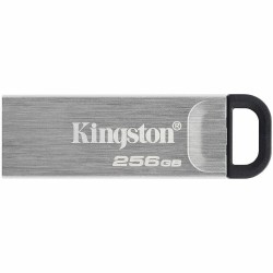 Флешка Kingston DataTraveler Kyson 256GB (DTKN/256GB) (серебристый/серый)