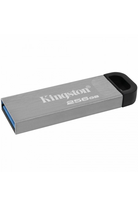 Флешка Kingston DataTraveler Kyson 256GB (DTKN/256GB) (серебристый/серый) 1