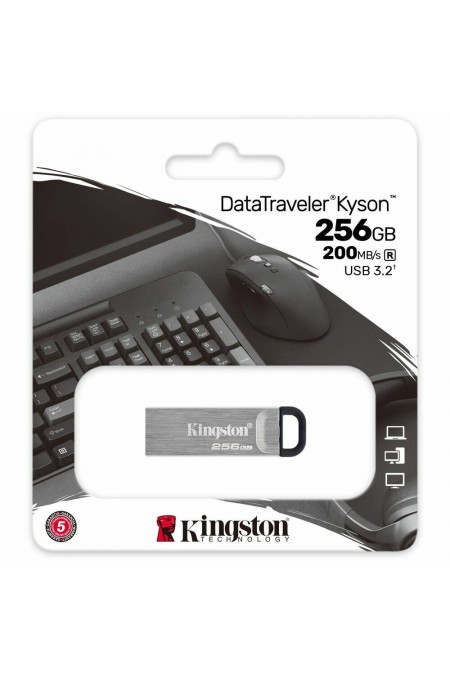 Флешка Kingston DataTraveler Kyson 256GB (DTKN/256GB) (серебристый/серый) 2