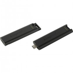 Флешка Kingston DataTraveler Max USB 3.2 256GB (DTMAX/256GB) (черный)
