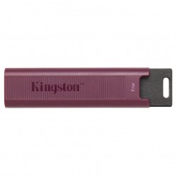 Флешка Kingston DataTraveler MaxA USB 3.2 1TB (DTMAXA/1TB) (черный/бордовый)