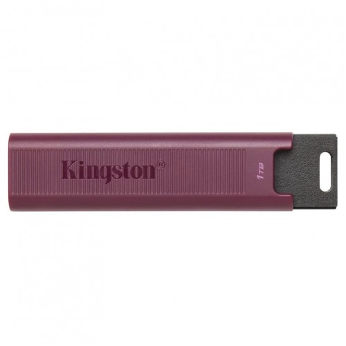 Флешка Kingston DataTraveler MaxA USB 3.2 1TB (DTMAXA/1TB) (черный/бордовый) 