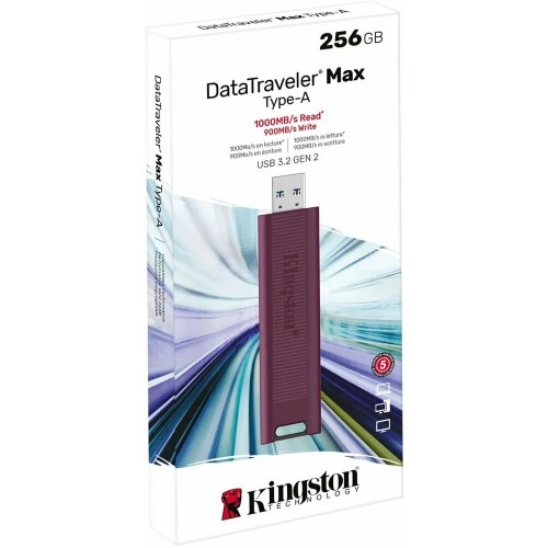Флешка Kingston DataTraveler MaxA USB 3.2 256GB (DTMAXA/256GB) (бордовый) 5