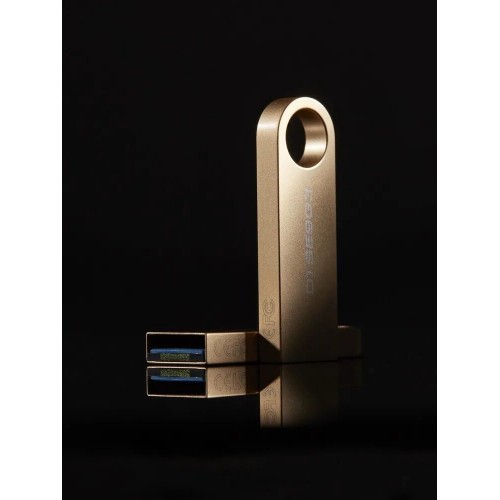 Флешка Kingston DataTraveler SE9 G3 USB 3.2 128GB (DTSE9G3) (золотой) 5