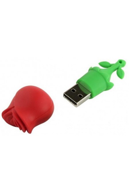 Флешка SMARTBUY Wild series UFD 2.0 032GB (SB32GBRose) (розовый) 