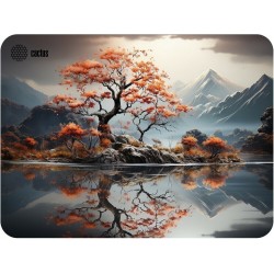 Коврик Cactus Lake CS-MP-PRO18XL 400x300мм (черный/рисунок)