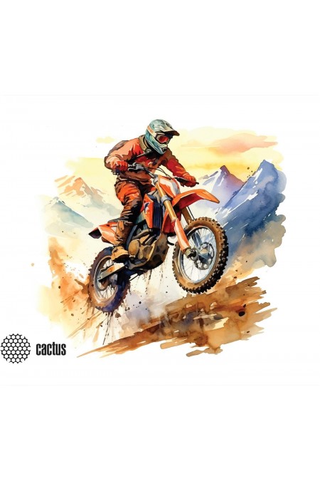 Коврик Cactus Motobike CS-MP-D12S 250x200мм (рисунок) 
