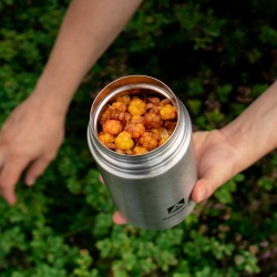 Термос для еды Арктика 301-750 0.75 л (серебристый)