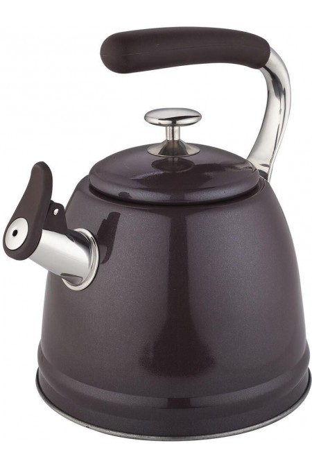 Чайник из нержавеющей стали Zeidan Z-4551 3 л (мокко) 