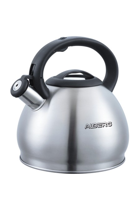 Чайник из нержавеющей стали Alberg AL-3043 3 л (серебристый) 