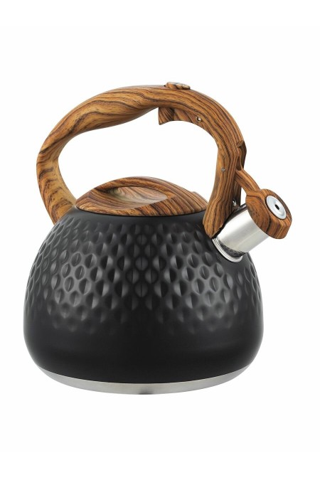 Чайник из нержавеющей стали Alberg AL-3057 2.7 л (черный) 1