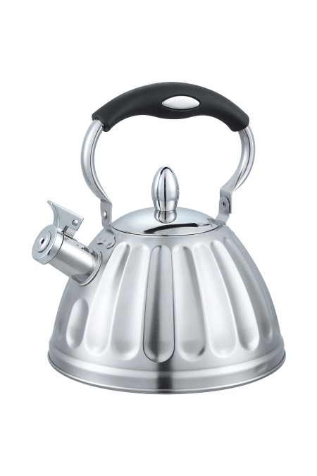 Чайник из нержавеющей стали Alberg AL-3063 3 л (серебристый) 