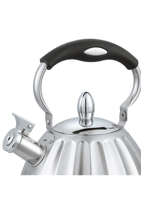 Чайник из нержавеющей стали Alberg AL-3063 3 л (серебристый) 1