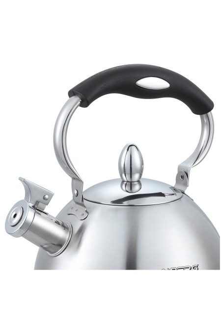 Чайник из нержавеющей стали Alberg AL-3064 3 л (серебристый) 1