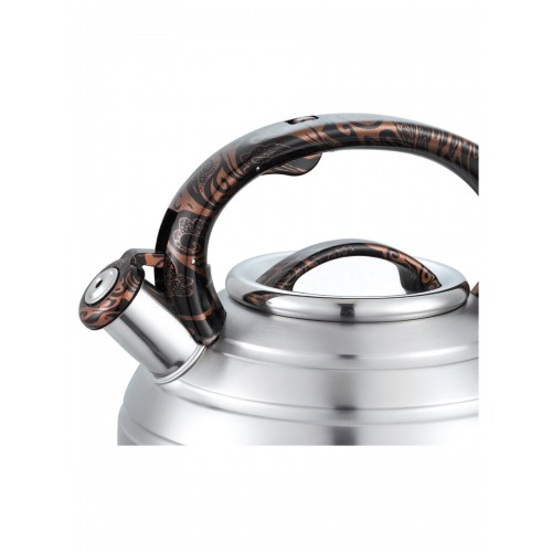 Чайник из нержавеющей стали Alberg AL-3065 3 л (серебристый/коричневый узор) 1