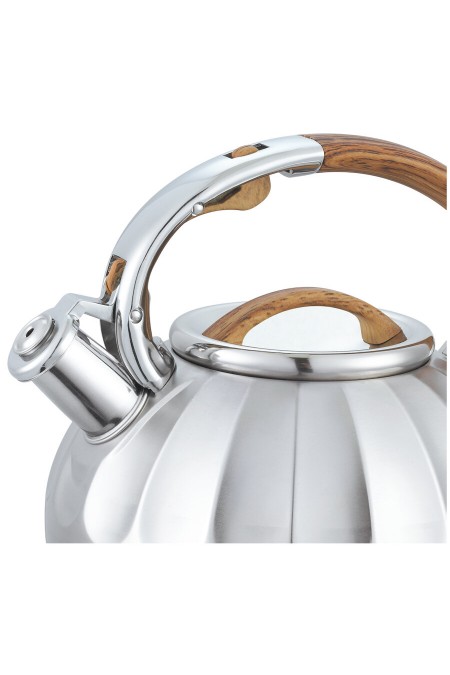 Чайник из нержавеющей стали Alberg AL-3066 3 л (серебристый/бежевый) 1