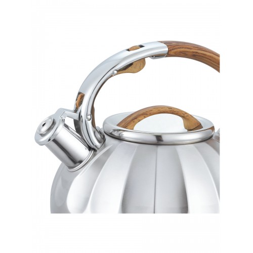 Чайник из нержавеющей стали Alberg AL-3066 3 л (серебристый/бежевый) 1
