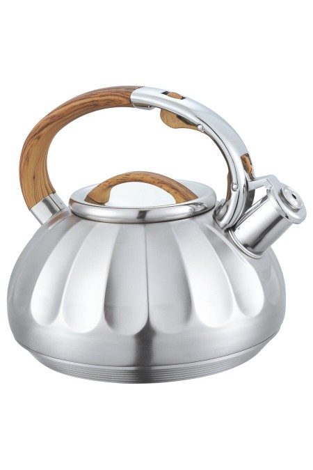 Чайник из нержавеющей стали Alberg AL-3066 3 л (серебристый/бежевый) 2