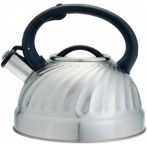 Чайник из нержавеющей стали Alpenkok AK-500/1 3 л (серебристый) 1