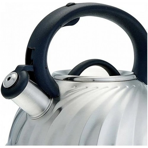 Чайник из нержавеющей стали Alpenkok AK-500/1 3 л (серебристый) 2