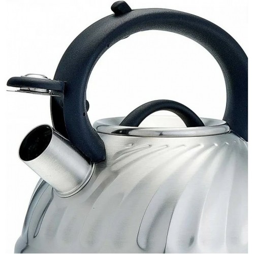 Чайник из нержавеющей стали Alpenkok AK-500/1 3 л (серебристый) 3