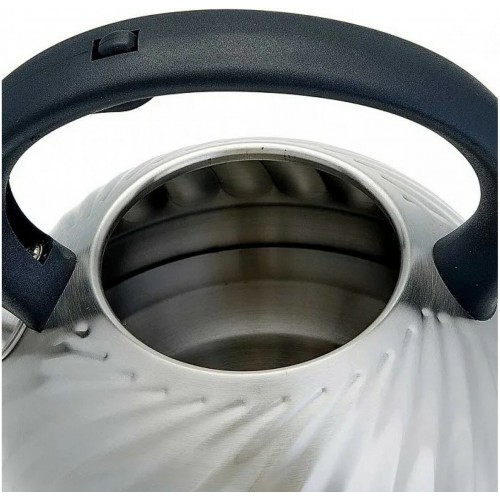 Чайник из нержавеющей стали Alpenkok AK-500/1 3 л (серебристый) 4