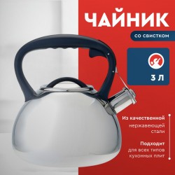 Чайник из нержавеющей стали Alpenkok AK-516 3 л (серебристый)