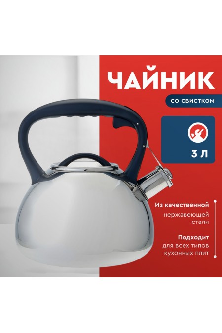 Чайник из нержавеющей стали Alpenkok AK-516 3 л (серебристый) 