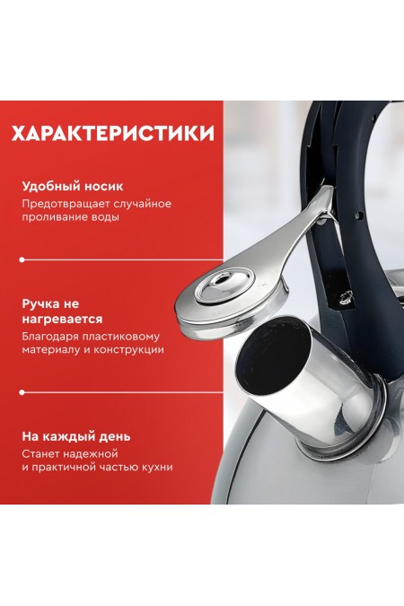 Чайник из нержавеющей стали Alpenkok AK-516 3 л (серебристый) 3