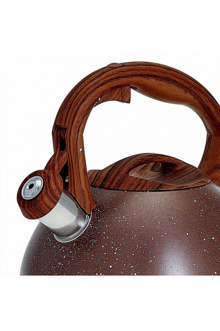 Чайник из нержавеющей стали Alpenkok AK-520 3 л (коричневый гранит) 1