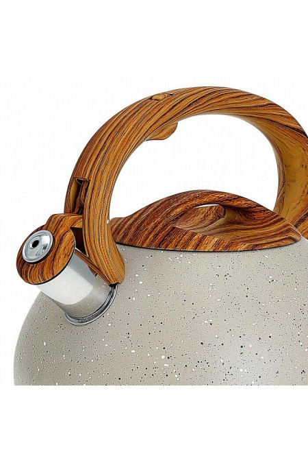 Чайник из нержавеющей стали Alpenkok AK-522 3 л (бежевый) 1