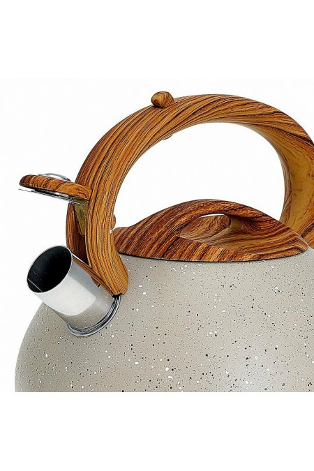 Чайник из нержавеющей стали Alpenkok AK-522 3 л (бежевый) 2