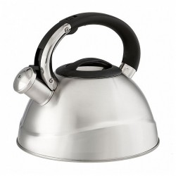 Чайник из нержавеющей стали Alpenkok AK-531 3 л (серебристый)