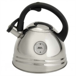 Чайник из нержавеющей стали Alpenkok AK-535 2.7 л (серебристый)