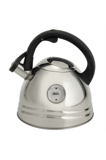 Чайник из нержавеющей стали Alpenkok AK-535 2.7 л (серебристый) 