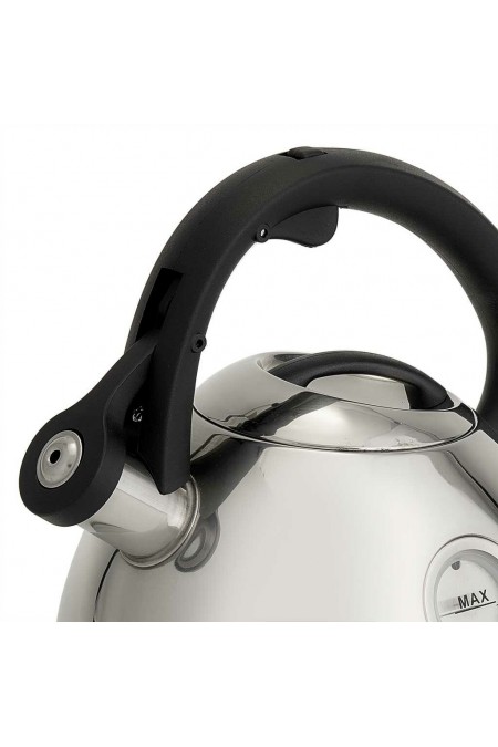 Чайник из нержавеющей стали Alpenkok AK-535 2.7 л (серебристый) 1