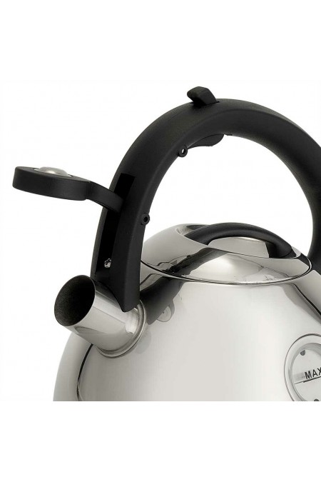 Чайник из нержавеющей стали Alpenkok AK-535 2.7 л (серебристый) 2