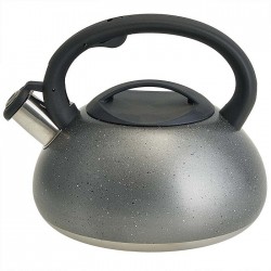 Чайник из нержавеющей стали Alpenkok AK-537 3 л (серый)