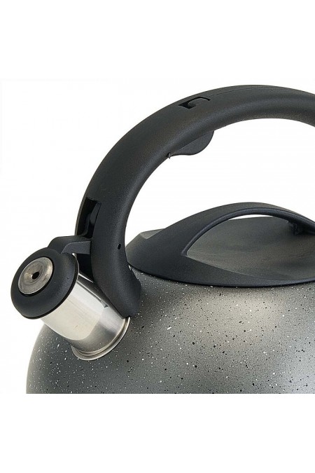 Чайник из нержавеющей стали Alpenkok AK-537 3 л (серый) 1