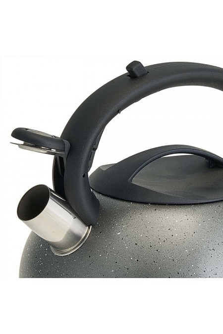 Чайник из нержавеющей стали Alpenkok AK-537 3 л (серый) 2