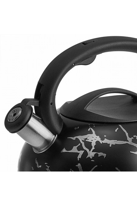 Чайник из нержавеющей стали Alpenkok AK-539 3 л (черный с серебром) 1