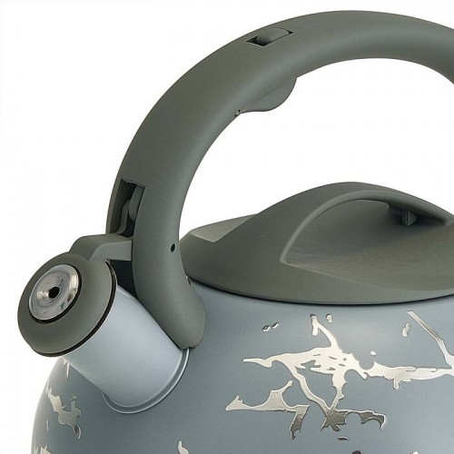 Чайник из нержавеющей стали Alpenkok AK-540 3 л (серый/серебристый) 1