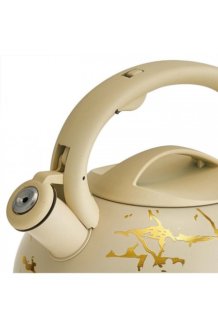 Чайник из нержавеющей стали Alpenkok AK-541 3 л (бежевый/золотой) 1