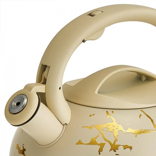 Чайник из нержавеющей стали Alpenkok AK-541 3 л (бежевый/золотой) 1