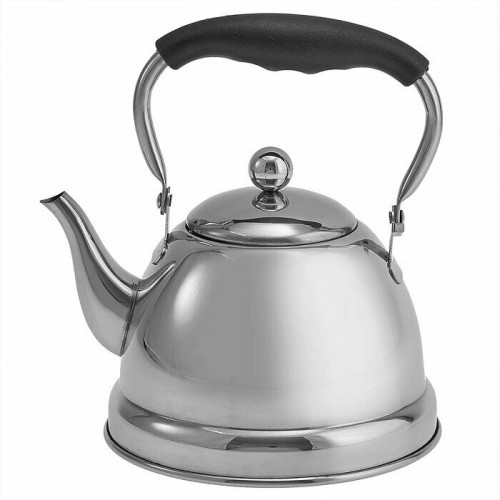 Чайник из нержавеющей стали Alpenkok AK-542 1 л (серебристый) 1