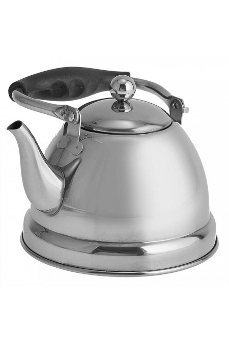 Чайник из нержавеющей стали Alpenkok AK-542 1 л (серебристый) 2